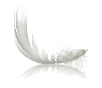 puść napięcia 2 piórko